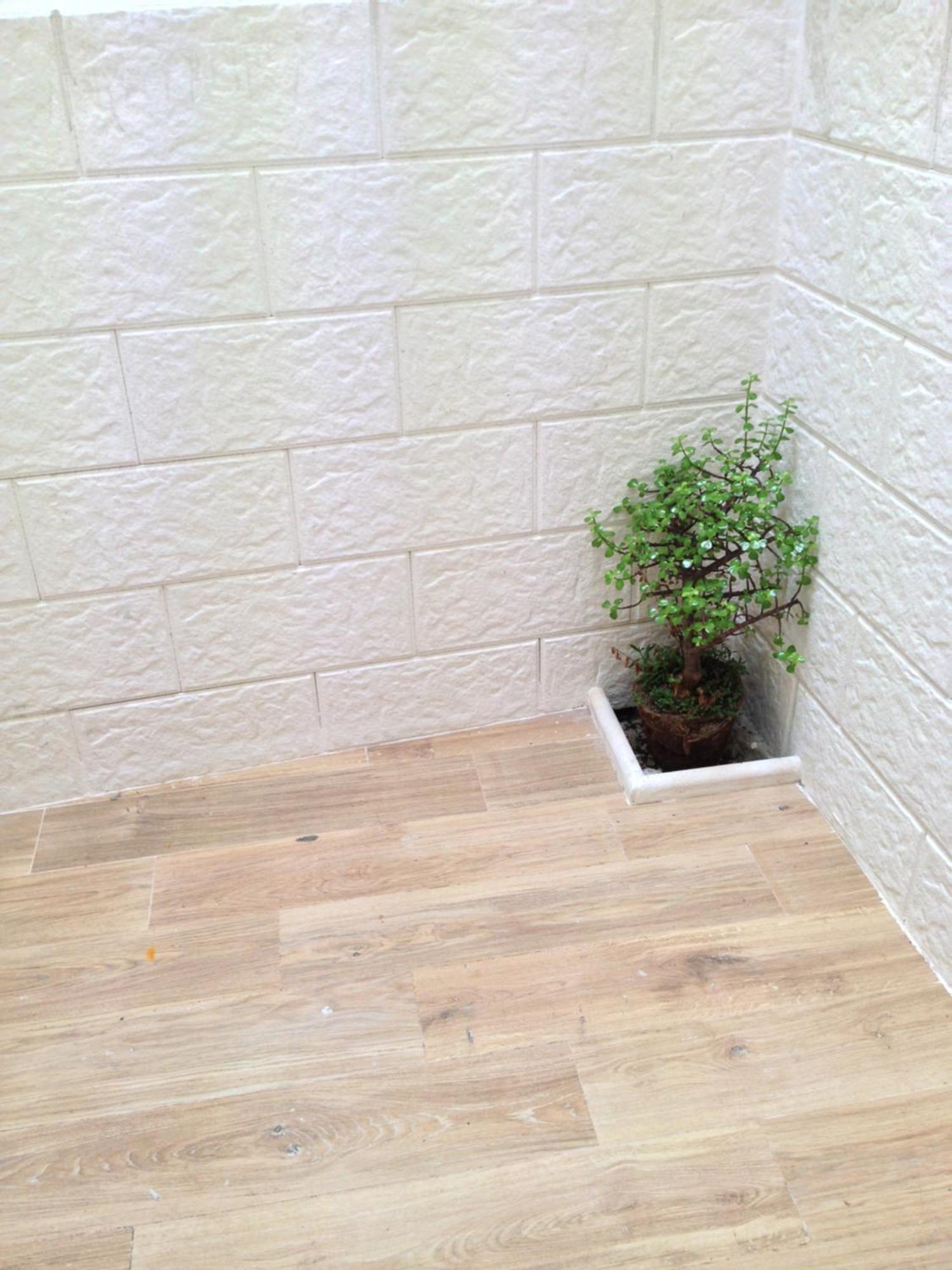 Appartamento Casa Petra - Mini Open Space Brindisi Esterno foto